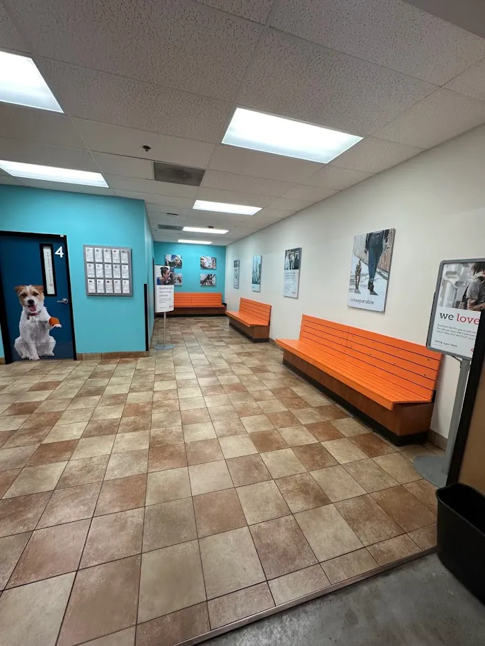 Banfield Pet Hospital 2