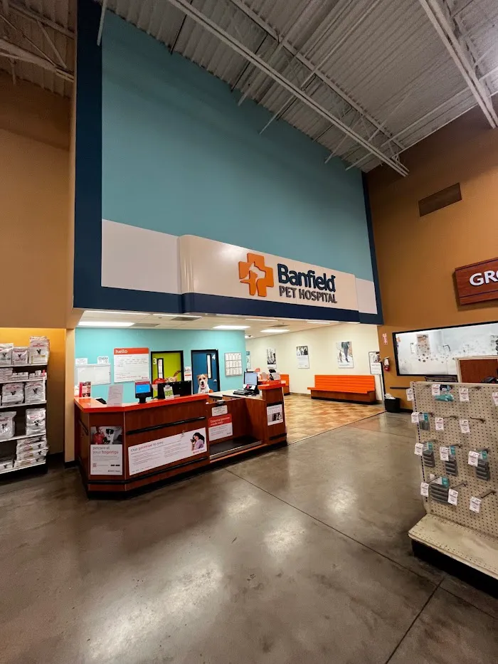Banfield Pet Hospital 3
