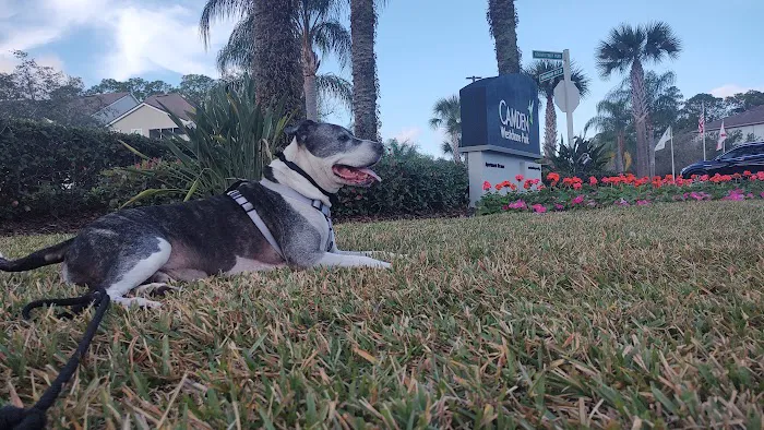 Banfield Pet Hospital 8