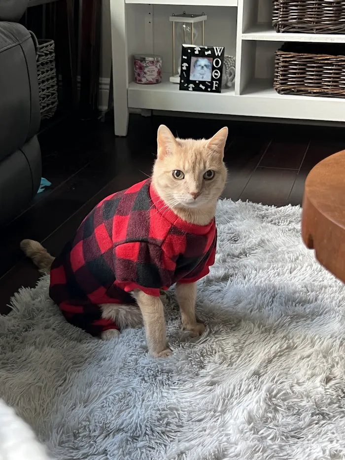 CountryChase Veterinary Hospital 1