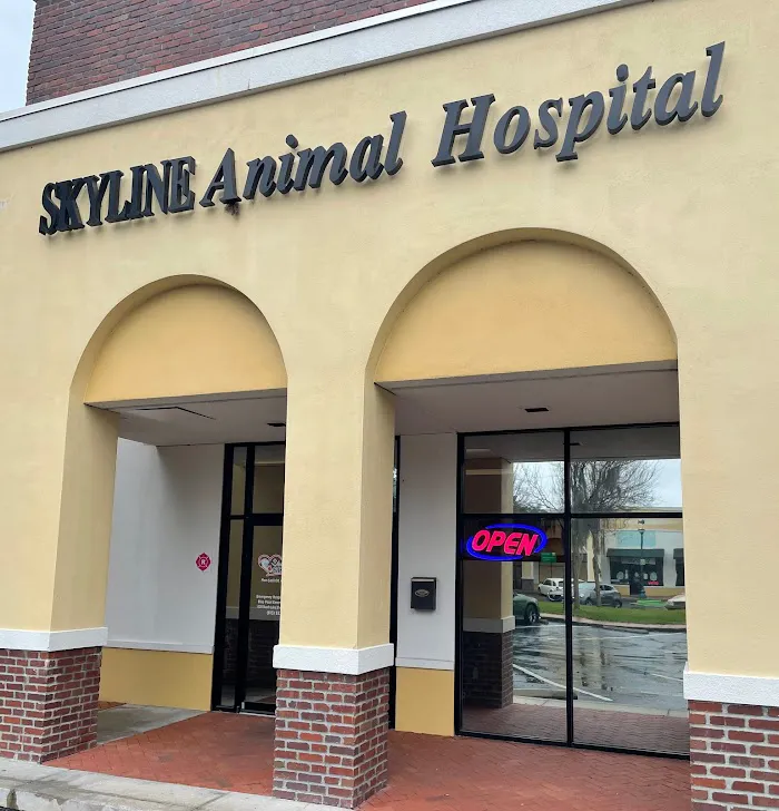 SKYLINE Animal Hospital 2