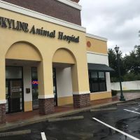 SKYLINE Animal Hospital ico