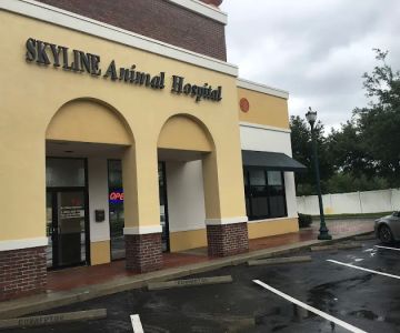 SKYLINE Animal Hospital