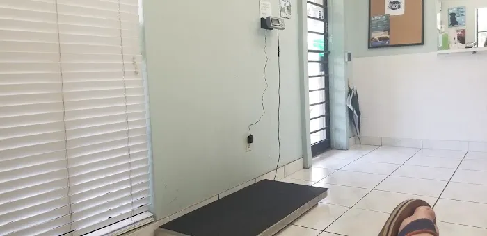 Land O Lakes Animal Hospital 12