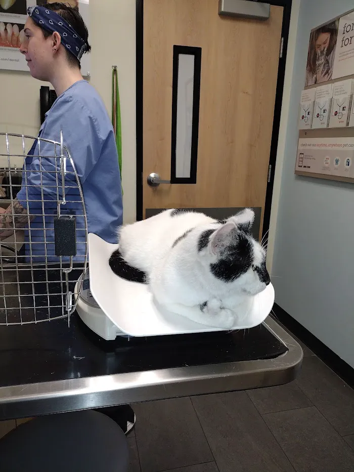 Banfield Pet Hospital 12