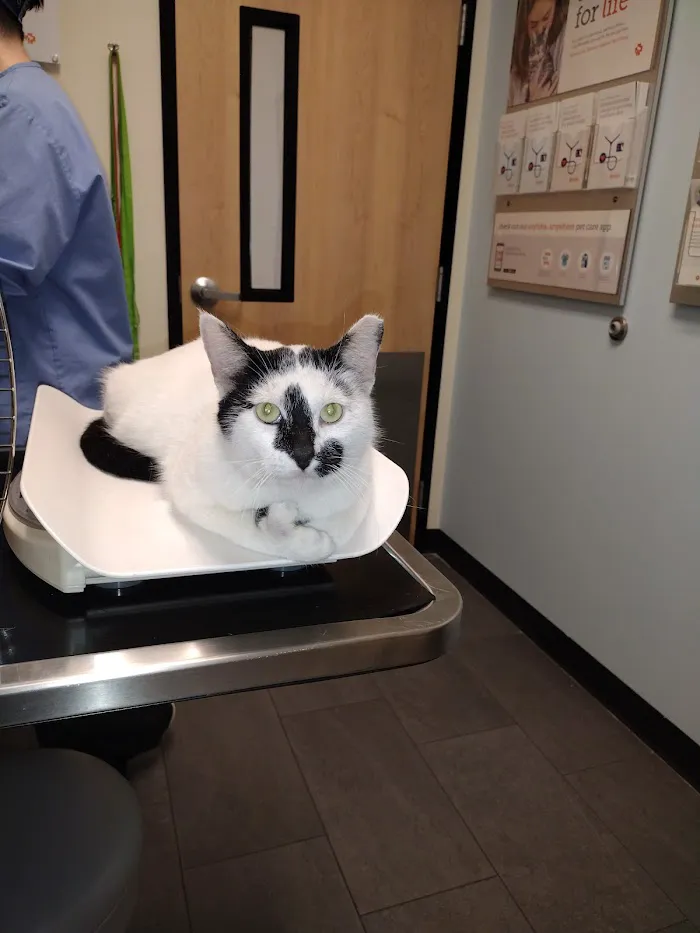 Banfield Pet Hospital 12