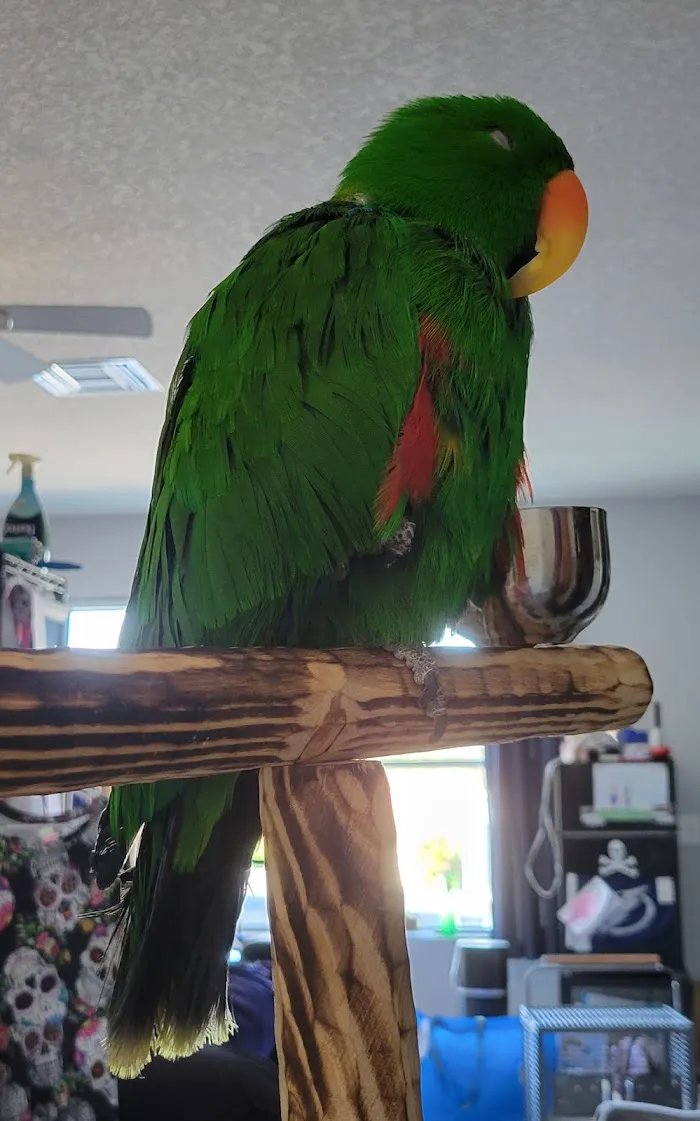 Pasco Veterinary Medical Center 1