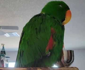 Pasco Veterinary Medical Center