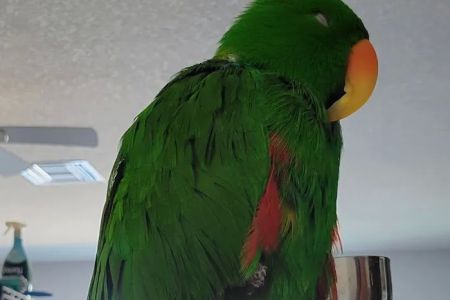 Pasco Veterinary Medical Center