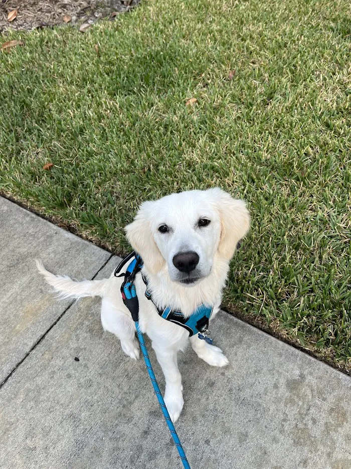 Pasco Veterinary Medical Center 10