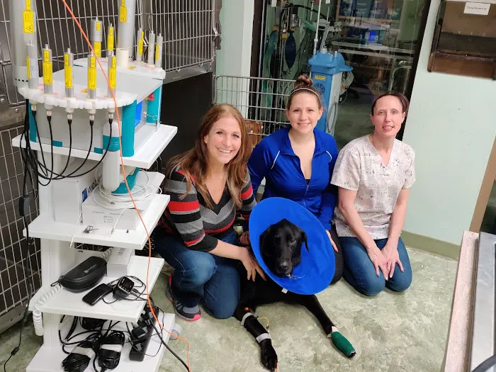 Pasco Veterinary Medical Center 4