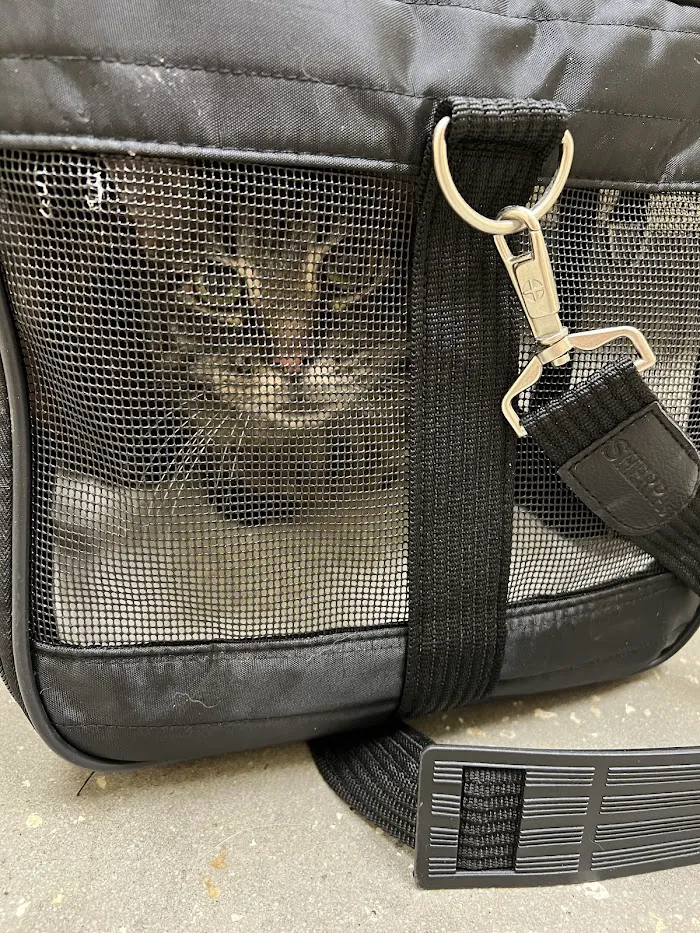 Vetco Total Care Animal Hospital 12