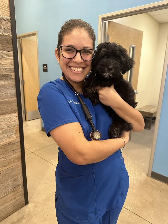 Vetco Total Care Animal Hospital 12