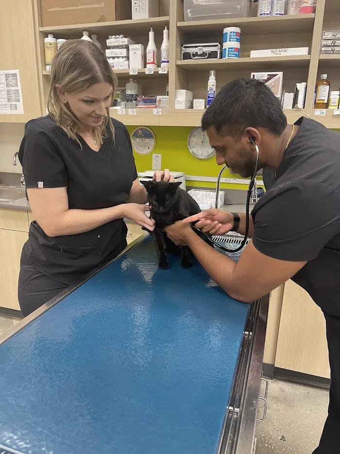 Vetco Total Care Animal Hospital 12