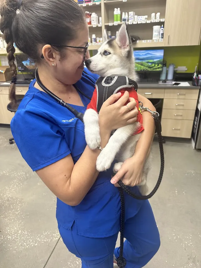 Vetco Total Care Animal Hospital 12