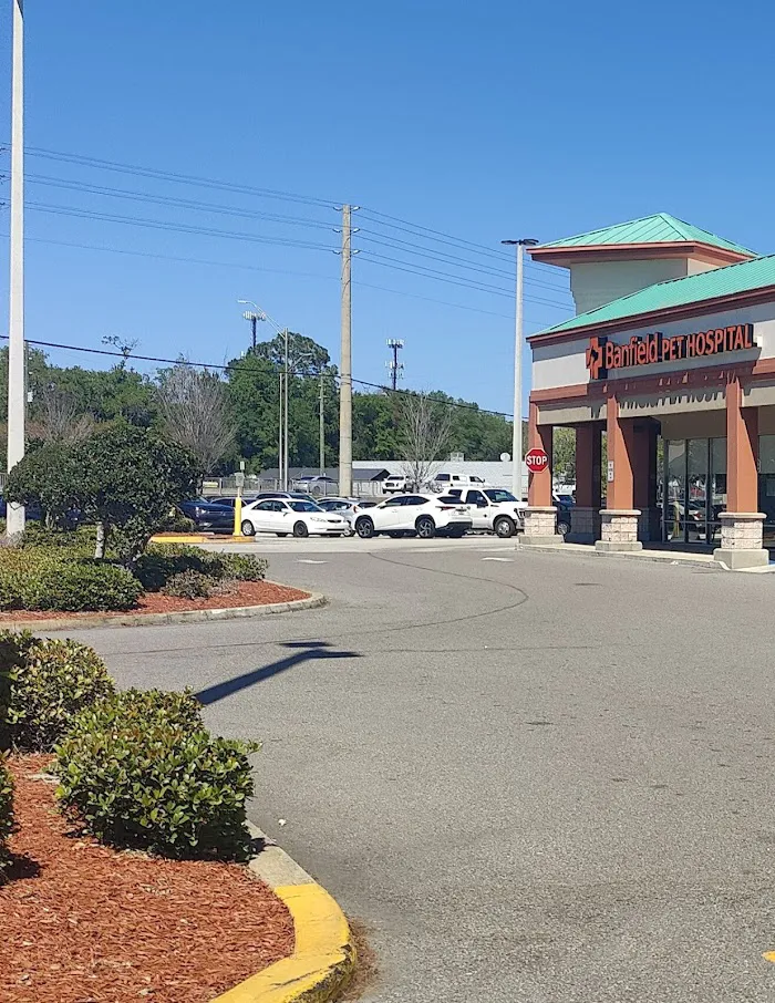 Banfield Pet Hospital 6