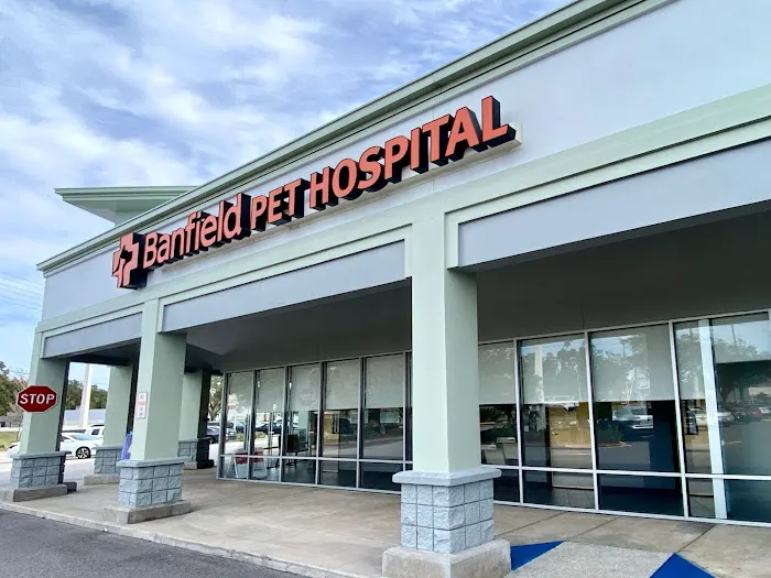 Banfield Pet Hospital 2