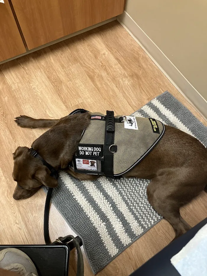 Banfield Pet Hospital 8