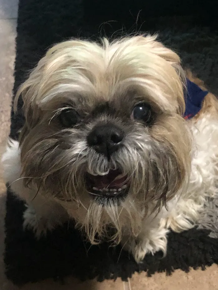 Banfield Pet Hospital 7