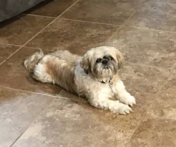 Banfield Pet Hospital