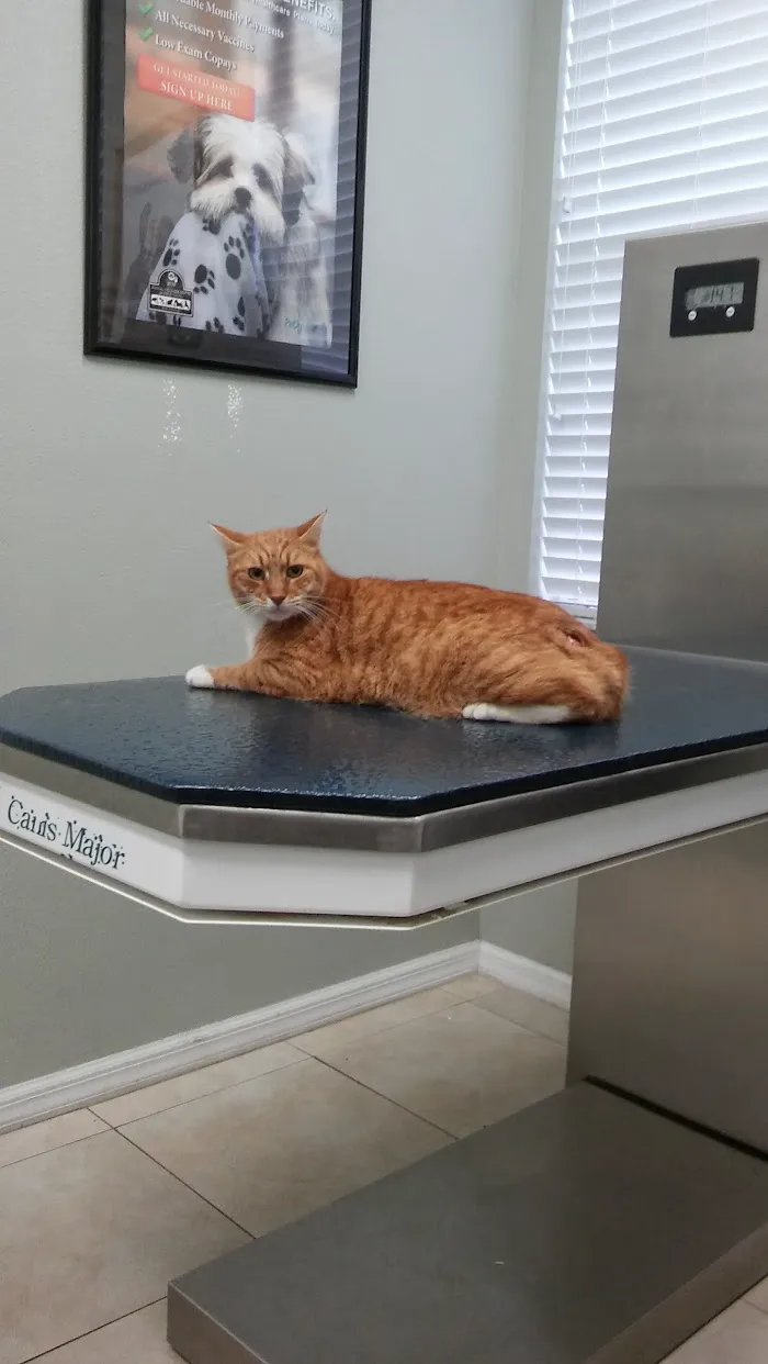 Animal Wellness Centre of Wesley Chapel 12