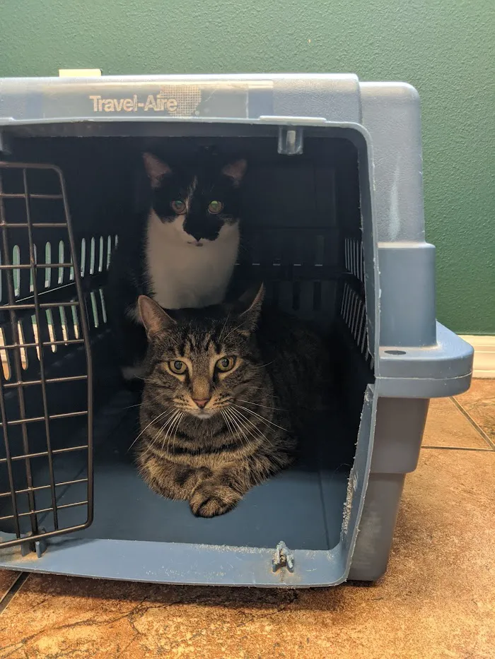 Wesley Chapel Veterinary Clinic 12
