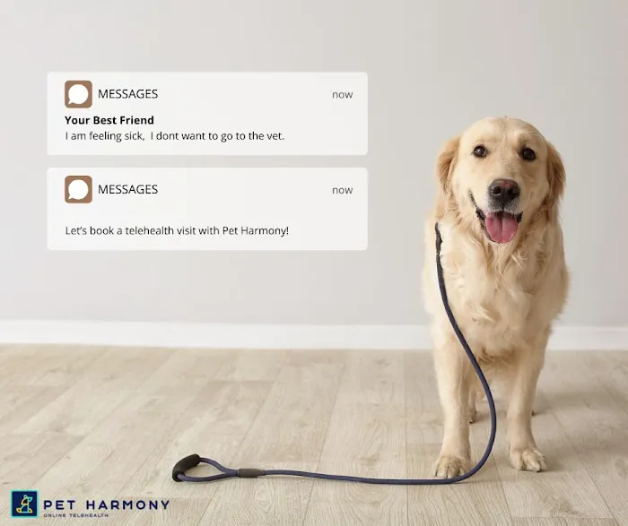 Pet Harmony | Pet Telehelth 2