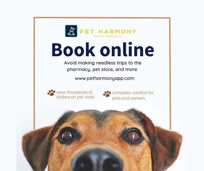 Pet Harmony | Pet Telehelth 1