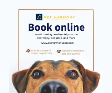 Pet Harmony | Pet Telehelth