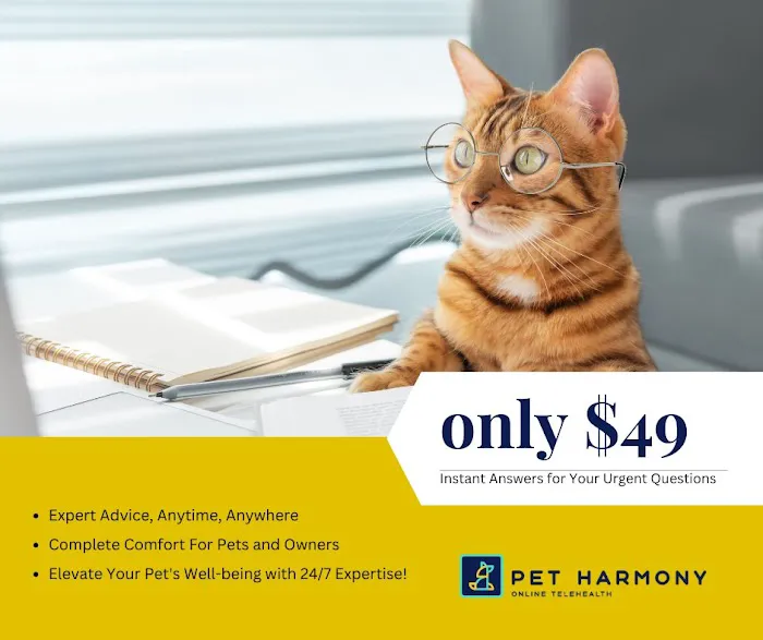 Pet Harmony | Pet Telehelth 3