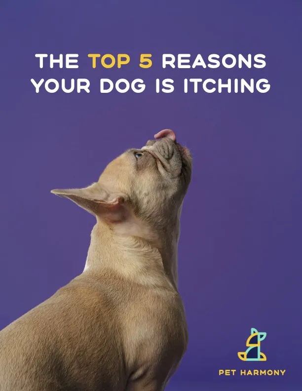 Pet Harmony | Pet Telehelth 4
