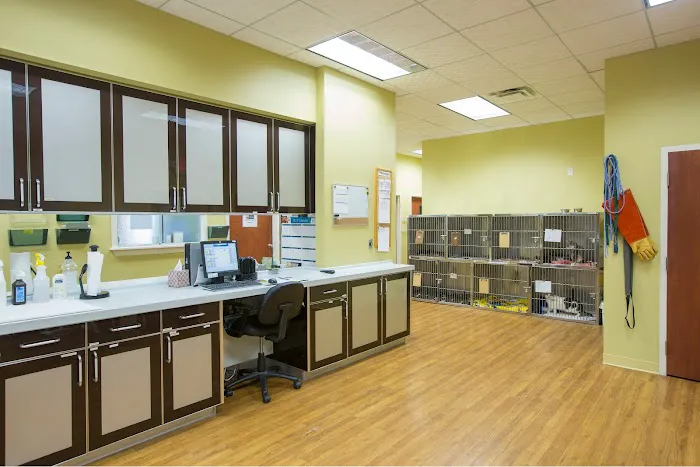 Lakeside Animal Hospital 12