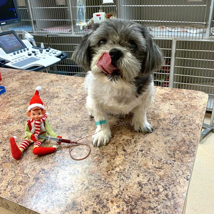 Animal Medical Center of Deer Valley 6