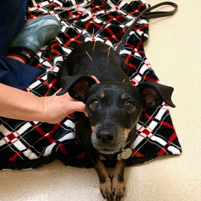 Animal Medical Center of Deer Valley 3