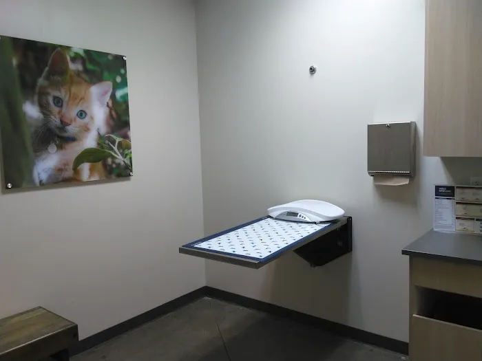 Vetco Total Care Animal Hospital 2