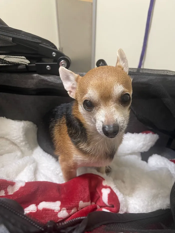 Vetco Total Care Animal Hospital 8