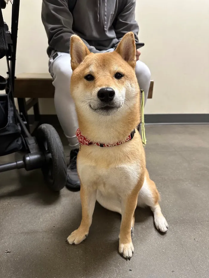 Vetco Total Care Animal Hospital 4