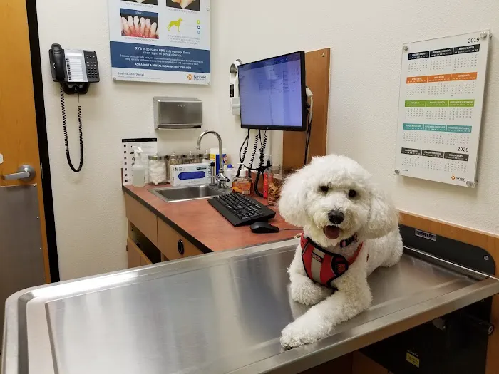 Banfield Pet Hospital 3