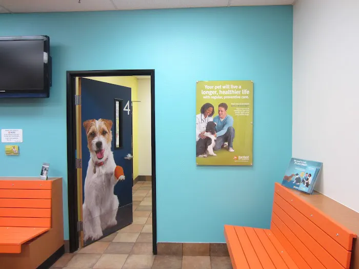 Banfield Pet Hospital 8