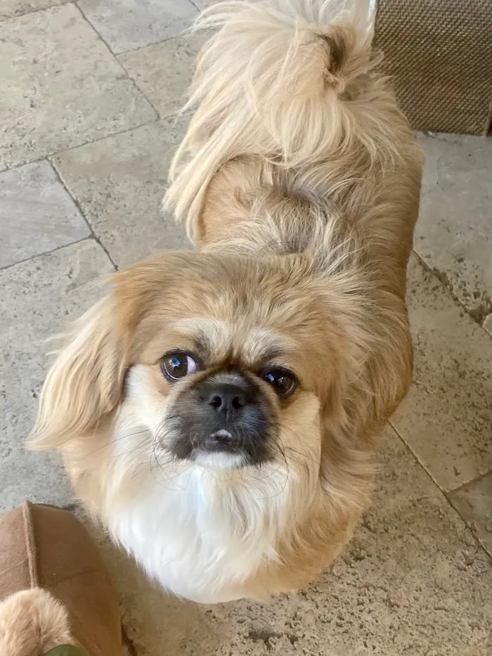 Banfield Pet Hospital 4