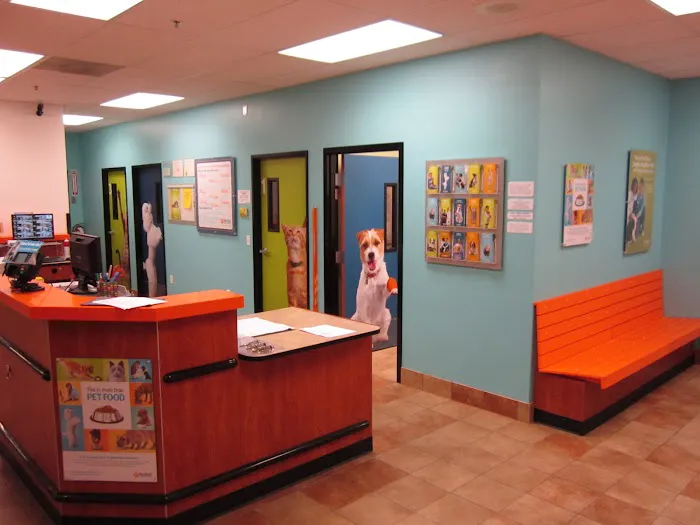 Banfield Pet Hospital 12