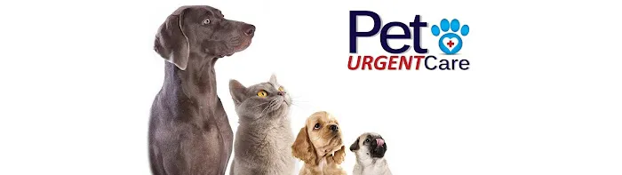 Pet Urgent Care 8