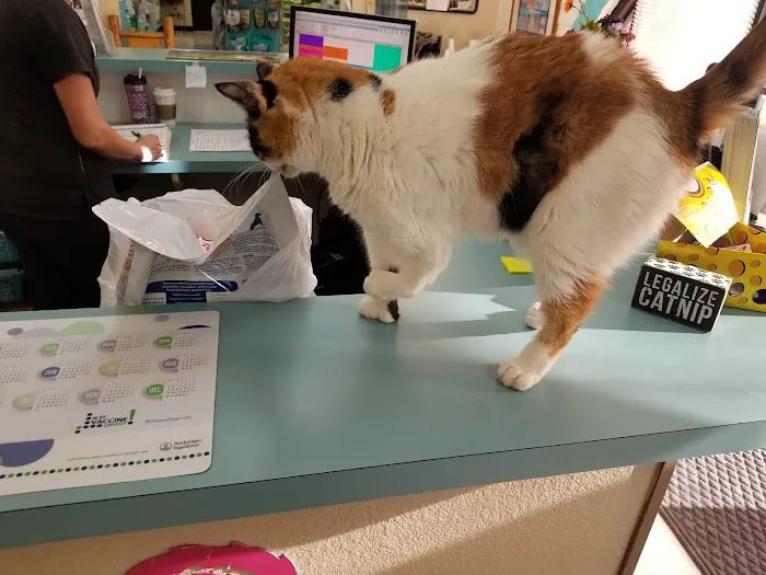 Amigo Animal Clinic 12