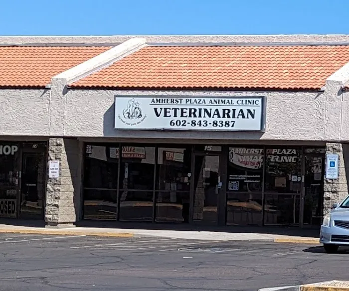Amherst Animal Clinic 12