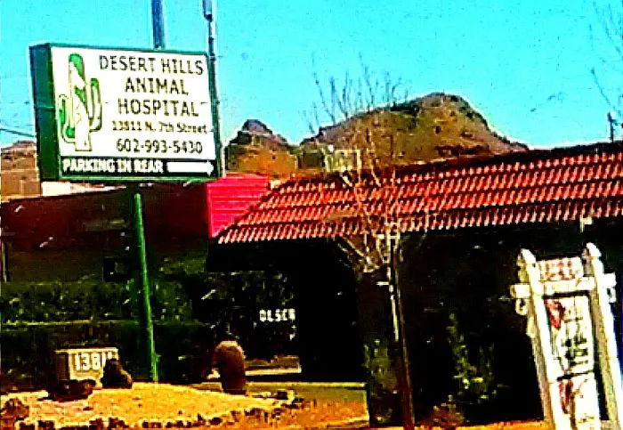 Desert Hills Animal Hospital 12