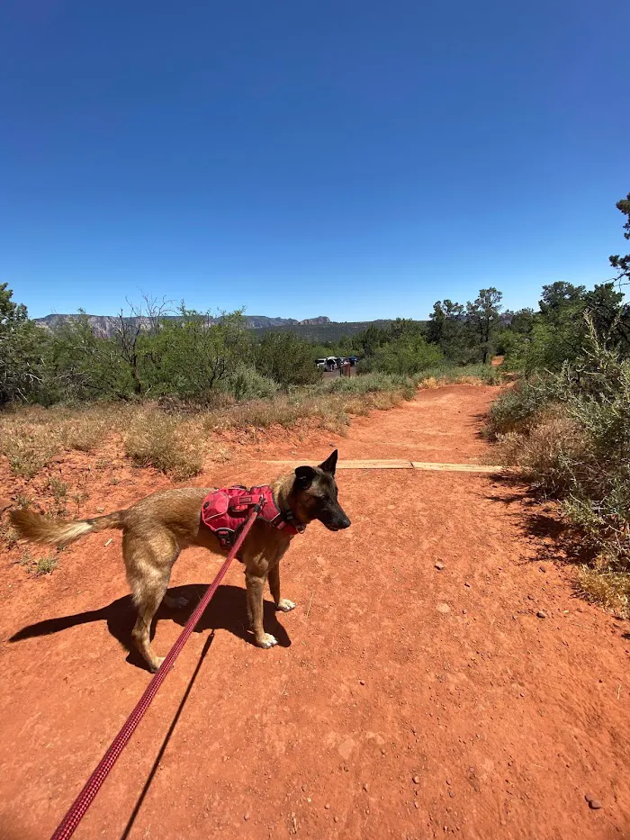 Desert Hills Animal Hospital 12