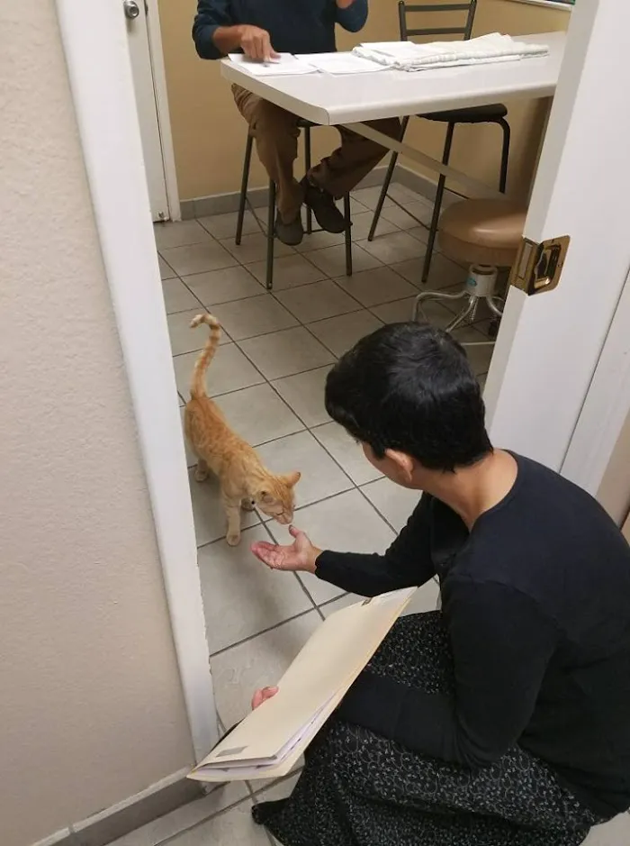 Sugarloaf Animal Clinic 12