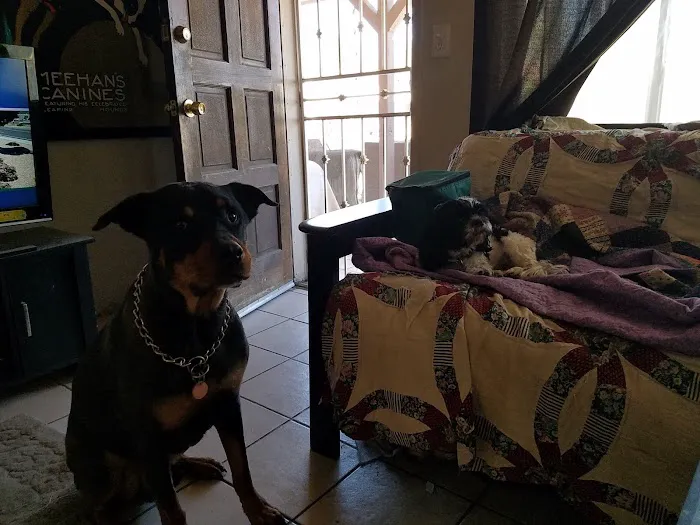 Sugarloaf Animal Clinic 12