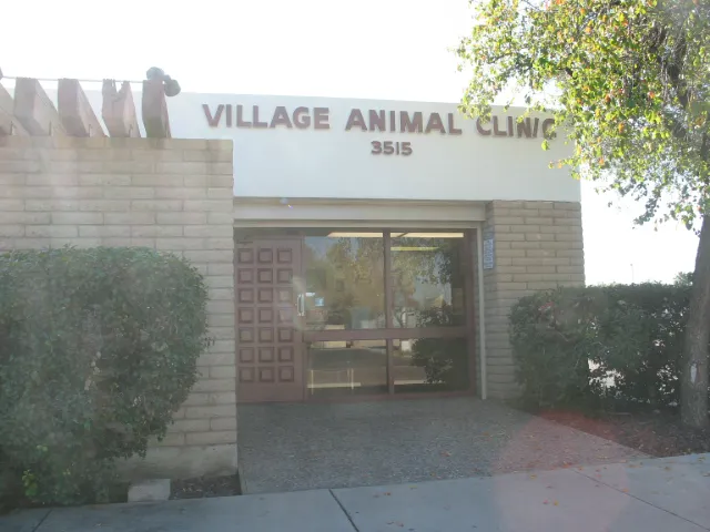 Village Animal Clinic 12