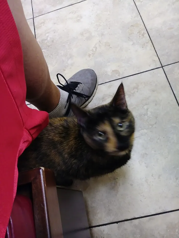 Village Animal Clinic 12
